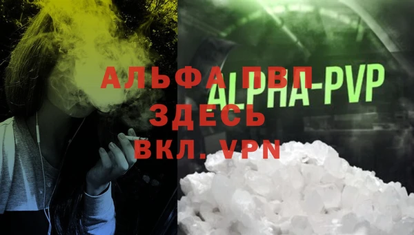 шишки Михайловск