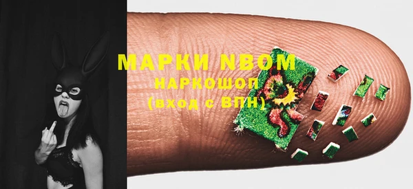 шишки Михайловск