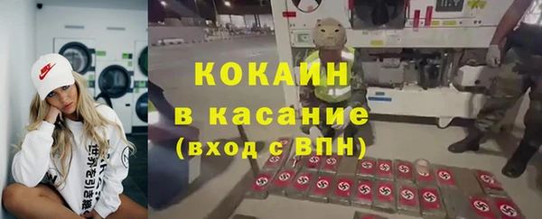 шишки Михайловск