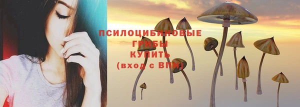 бутират Михайловка