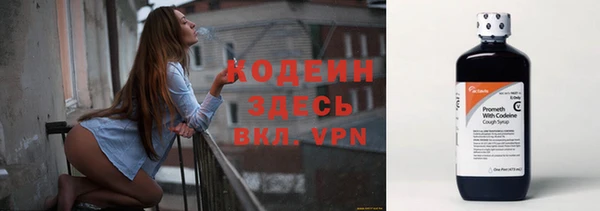 шишки Михайловск