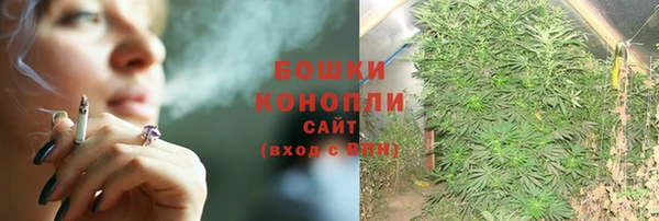 дживик Михайлов