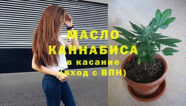 шишки Михайловск