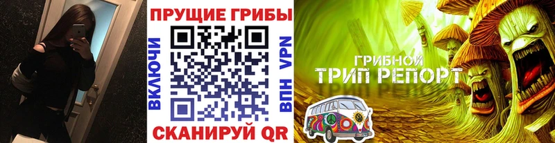 Псилоцибиновые грибы GOLDEN TEACHER  купить наркотик  Оса 